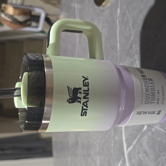 STANLEY HALLOWEEN 20 OZ STAINLESS STEEL H2.0 FLOWSTATE QUENCHER HYNOTIC GREEN - Picture 2 of 6